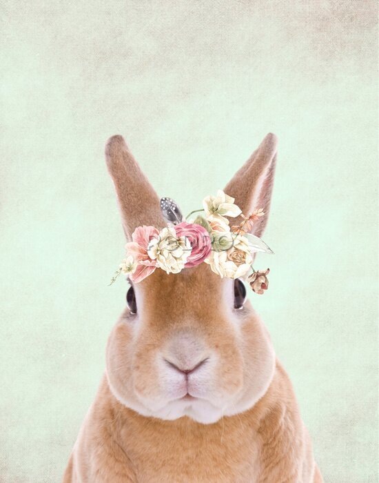 Poster  real Bunny with floral elements