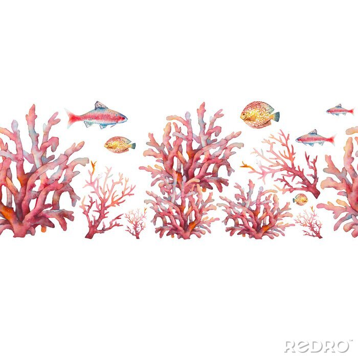 Poster  Récif de corail rouge et poissons
