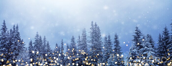 Poster  Réflexions lumineuses dans le contexte d'une forêt d'hiver