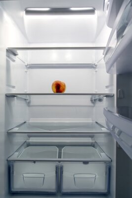 Réfrigérateur vide avec une pêche