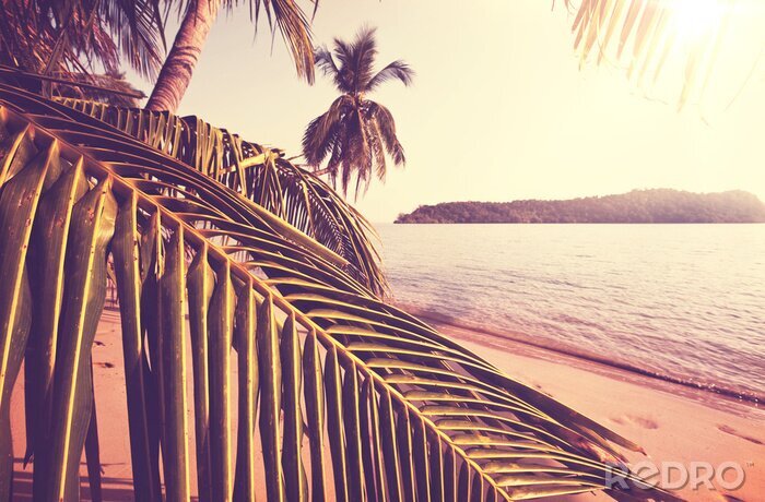 Poster  Repos sur une plage tropicale