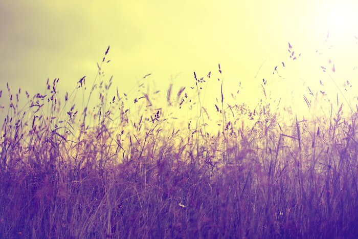 Poster  Rétro photo pré