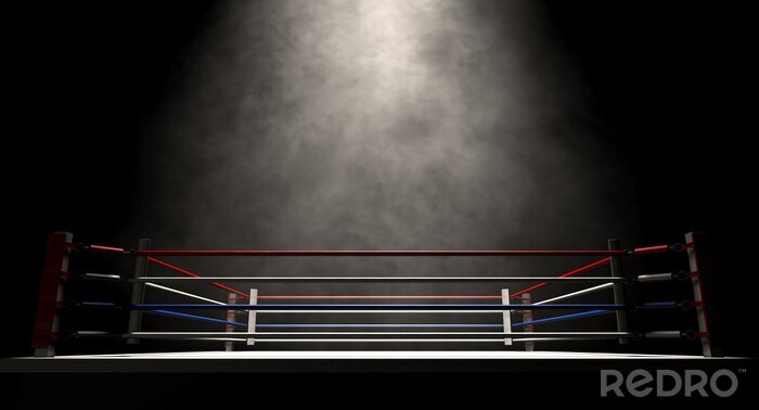 Poster  Ring de boxe éclairé