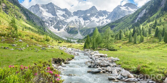 Poster  Rivière avec un paysage montagneux en arrière-plan