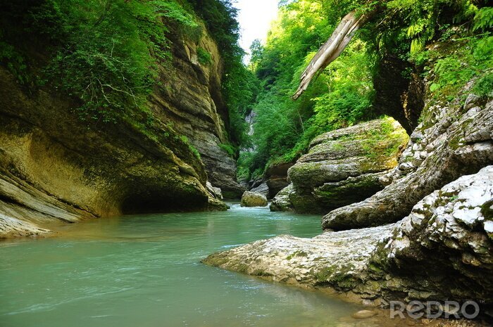 Poster  Rivière de montagne