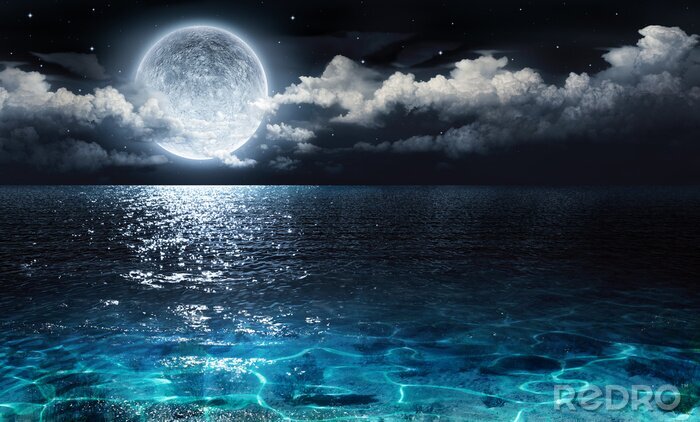 Poster  Romantic and scenic panorama with full moon on sea to night