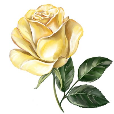 Poster  Rose jaune sur une courte branche