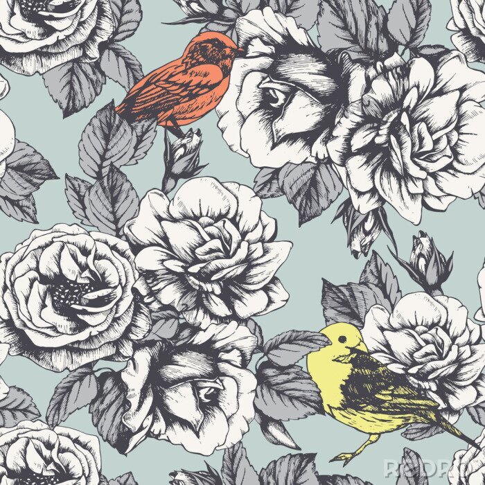 Poster  Roses anglaises et graphique d'oiseaux color?s