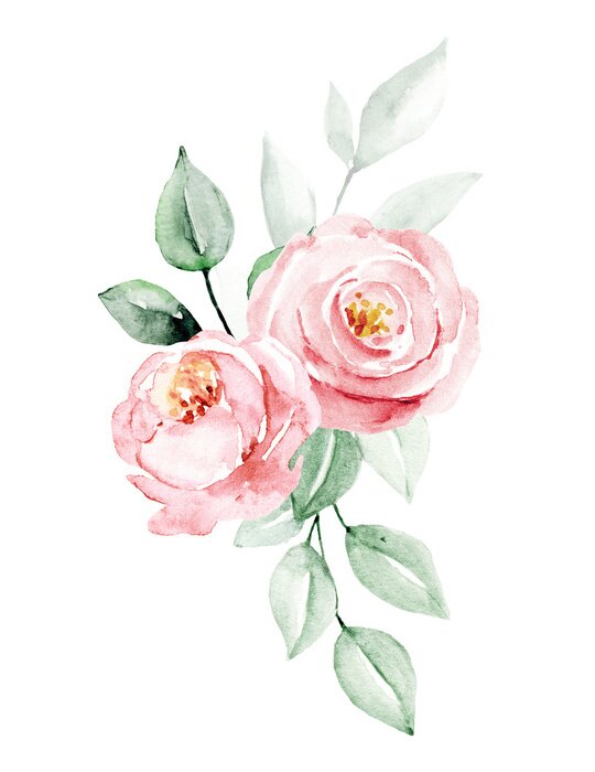 Poster  Roses aquarelles sur fond de feuilles floues