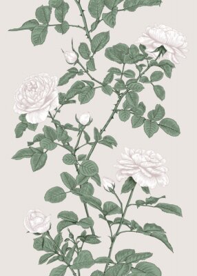 Roses blanches reliées par des brindilles