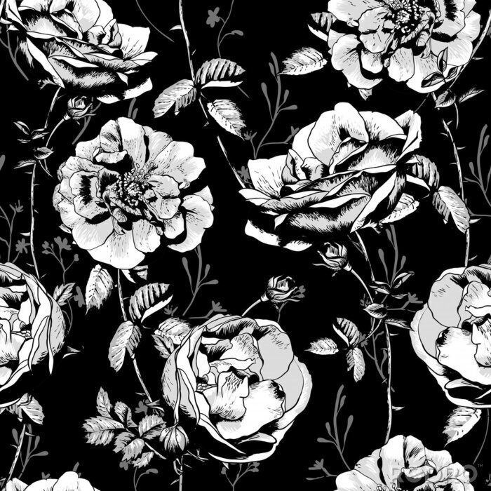 Poster  Roses blanches sur fond noir