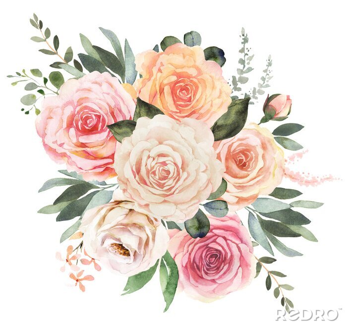 Poster  Roses blanches, thé et rose peintes à l'aquarelle