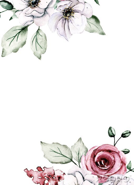 Poster  Roses carmin illustration rustique