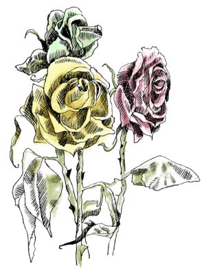 Poster  Roses d'art en ligne avec des bourgeons tombés