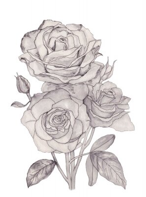 Poster  Roses d'art en ligne remplies de gris