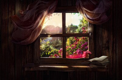 Roses derrière une fenêtre