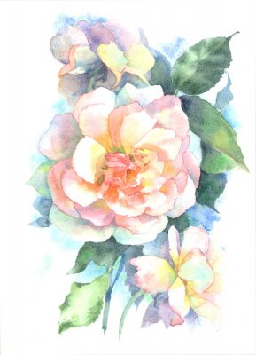 Poster  Roses ombragées de pastels