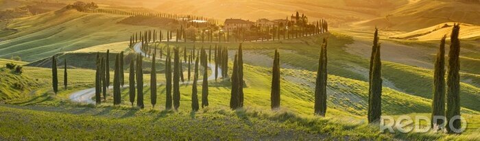 Poster  Routes toscanes