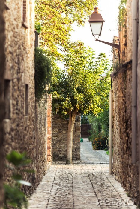 Poster  Ruelle étroite et lampadaire