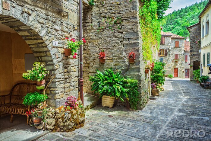 Poster  Ruelle fleurie et maisons