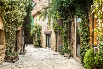 Ruelle italienne végétalisée