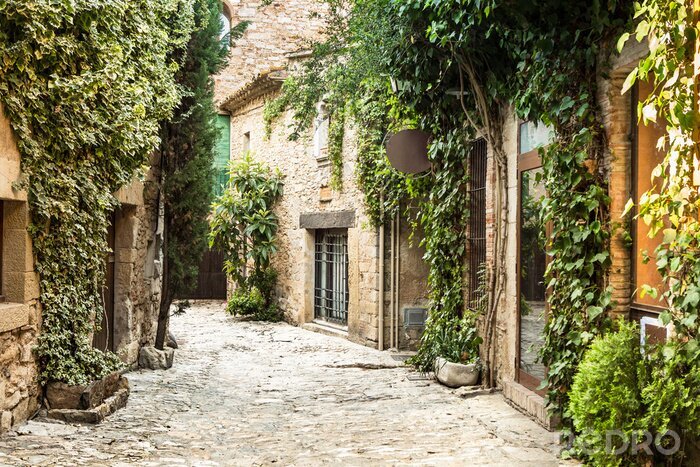 Poster  Ruelle italienne végétalisée