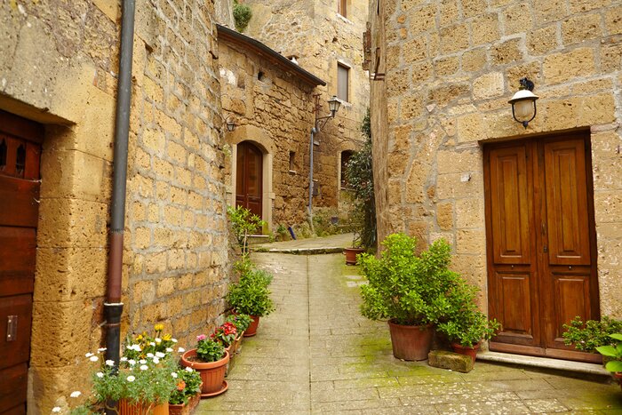 Poster  Ruelle tortueuse et plantes