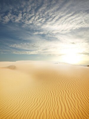 Poster  sable désert paysage