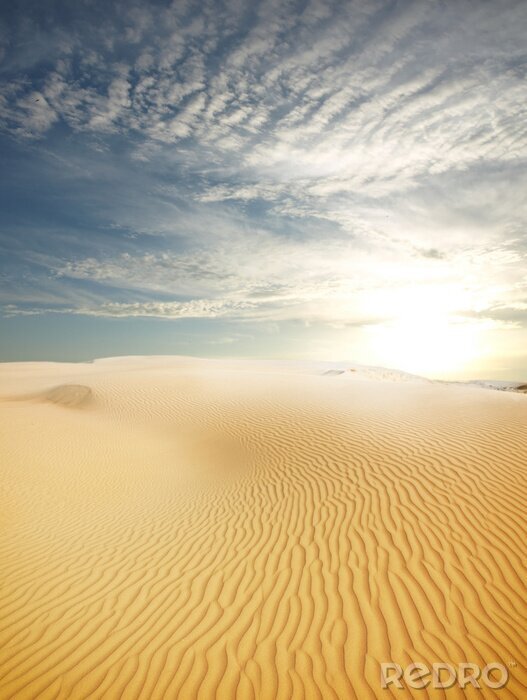 Poster  sable désert paysage
