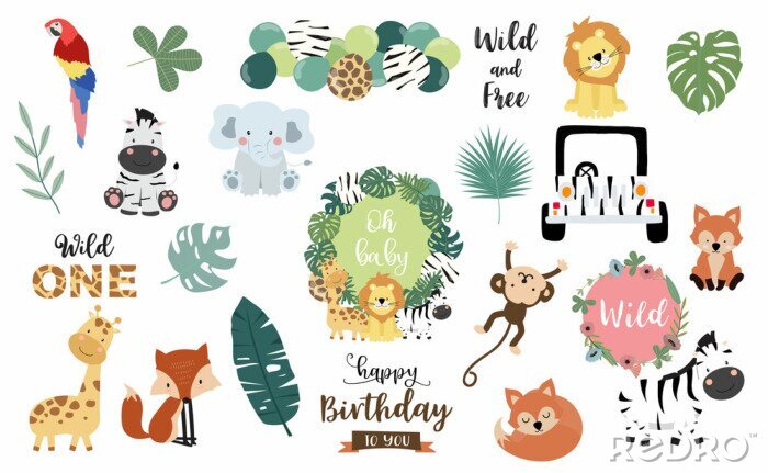 Poster  Safari object set with fox,giraffe,zebra,lion,leaves,elephant. illustration for logo,sticker,postcard,birthday invitation.Editable element