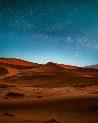 Poster  Sahara desert