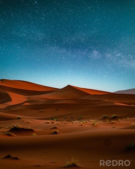Poster  Sahara desert