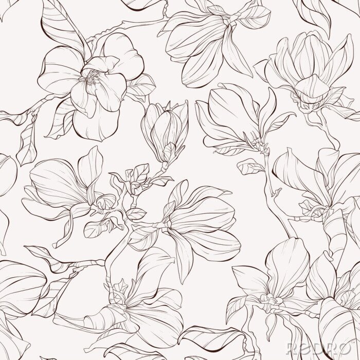 Poster  Seamless pattern, background with blooming magnolia flowers. Outline drawing.