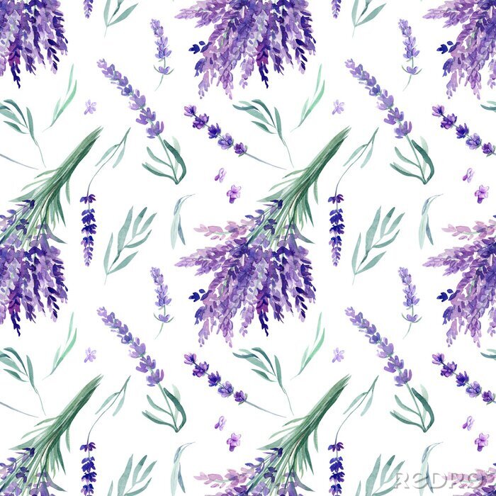 Poster  seamless pattern, lavender watercolor on an isolated white background, hand drawing