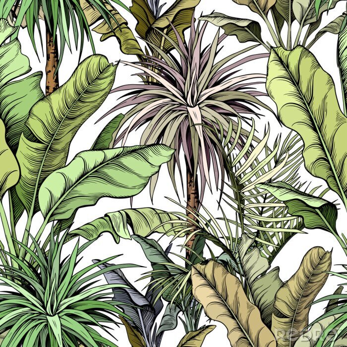 Poster  Seamless pattern with green tropical trees. Yucca plants and large banana leaves. Hand drawn vector illustration.