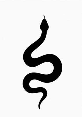 Poster  Serpent noir sur fond blanc
