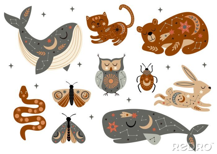 Poster  set of isolated celestial animals