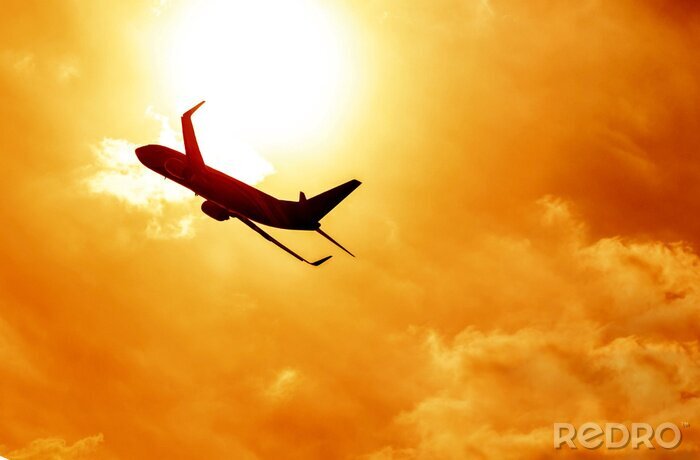Poster  Silhouette d'avion sur fond coucher de soleil