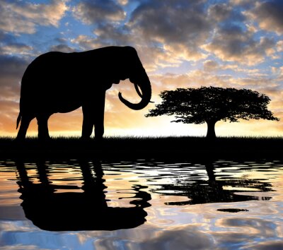 Silhouette d'éléphant foncé