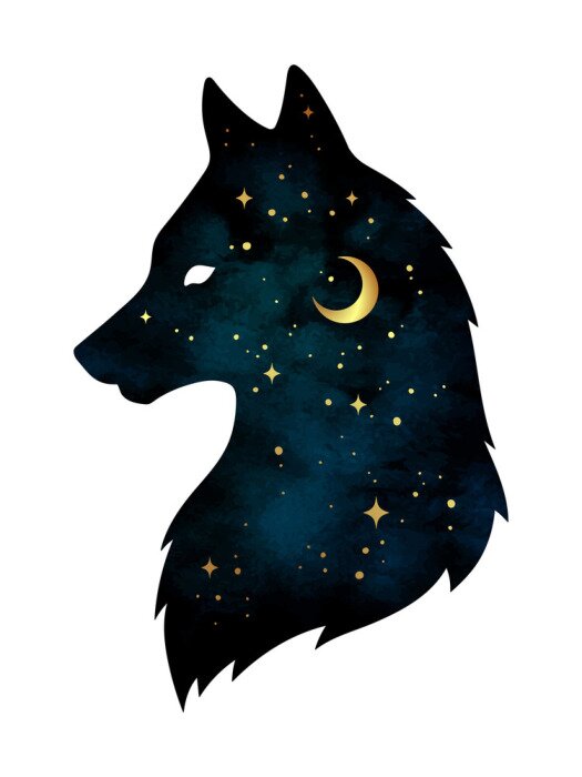 Poster  Silhouette de loup avec croissant de lune et étoiles isolées. Autocollant, impression ou illustration vectorielle de conception de tatouage. Totem païen, art d'esprit familier wiccan