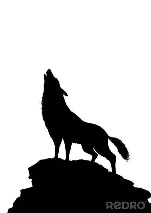 Poster  Silhouette de loup noir sur fond blanc