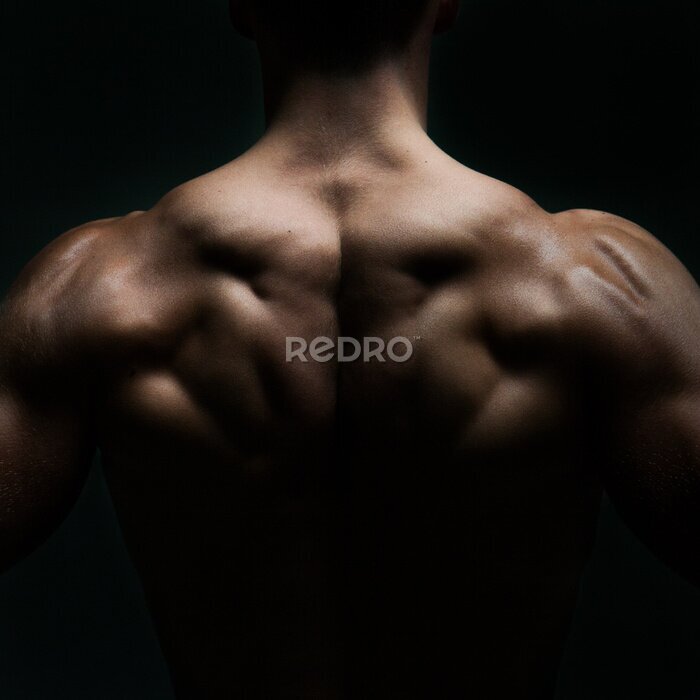 Poster  Silhouette masculine musclée