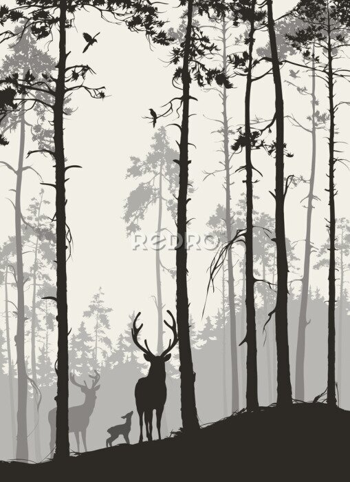 Poster  Silhouettes de cerfs dans la forêt