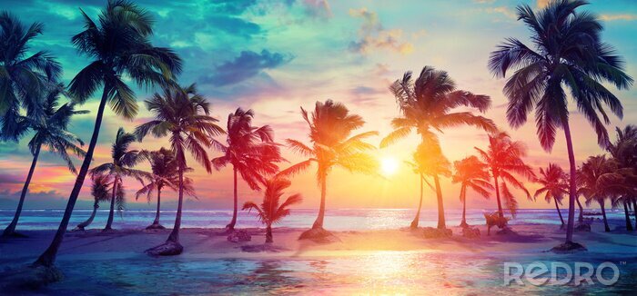 Poster  Silhouettes de palmiers sur la plage tropicale au coucher du soleil - couleurs vintage modernes