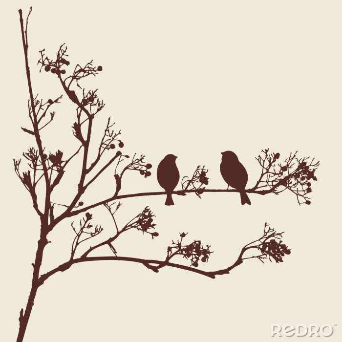 Poster  Silhouettes noires d'oiseaux sur un arbre