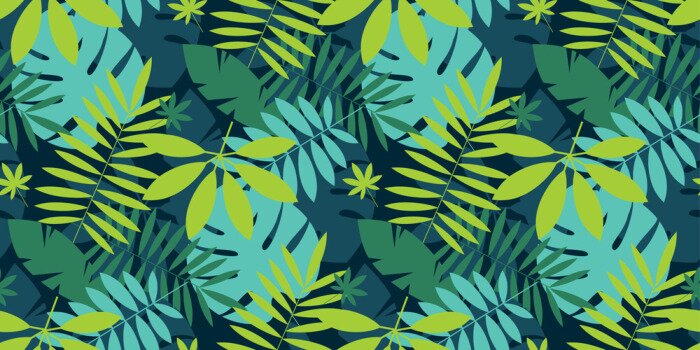 Poster  Simple motif de feuilles tropicales vertes motif sans soudure