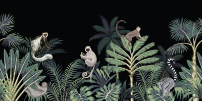 Poster  Singe proboscis de la jungle et autres espèces
