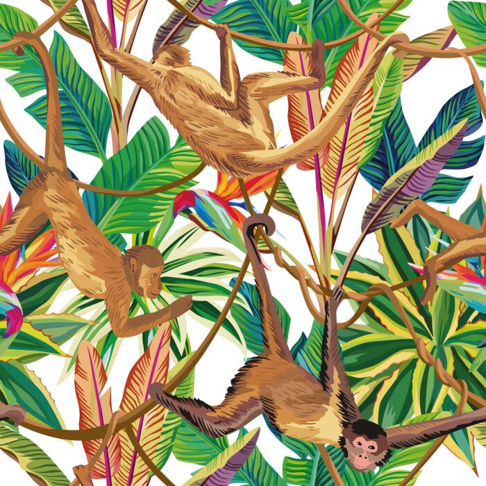 Poster  Singes sur le fond de la jungle