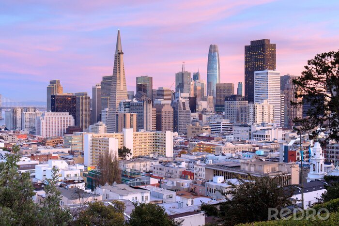 Poster  Skyline de San Francisco dans les cieux roses et bleus. Ina Coolbrith Park, San Francisco, Californie, États-Unis.