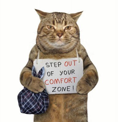 Poster  Slogan humoristique avec un chat